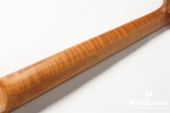 TACTICS - ASH/RSM - WBD